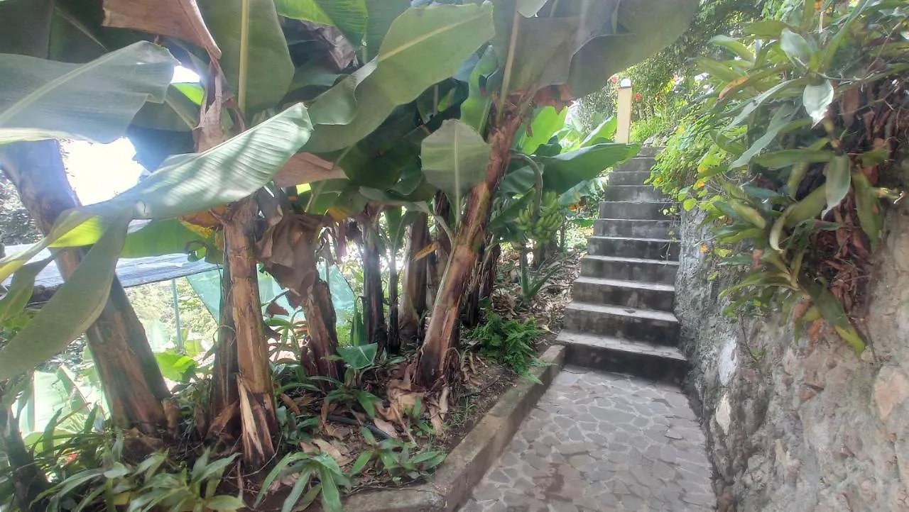Bed and Breakfast Casa Cavoquinho Paul 3*,